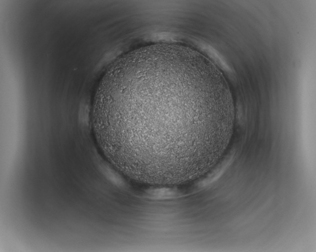X0000112420449200908141414