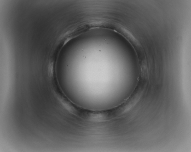 X0000112420454200908141414