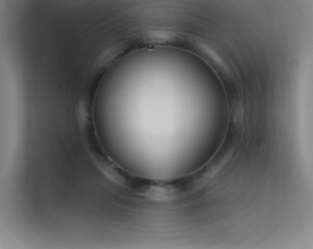 X0000112420455200908141414