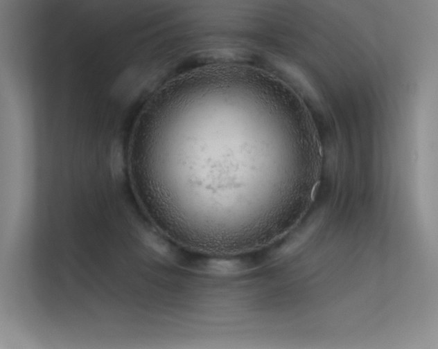 X0000112420457200908141414