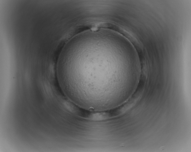 X0000112420461200908141414