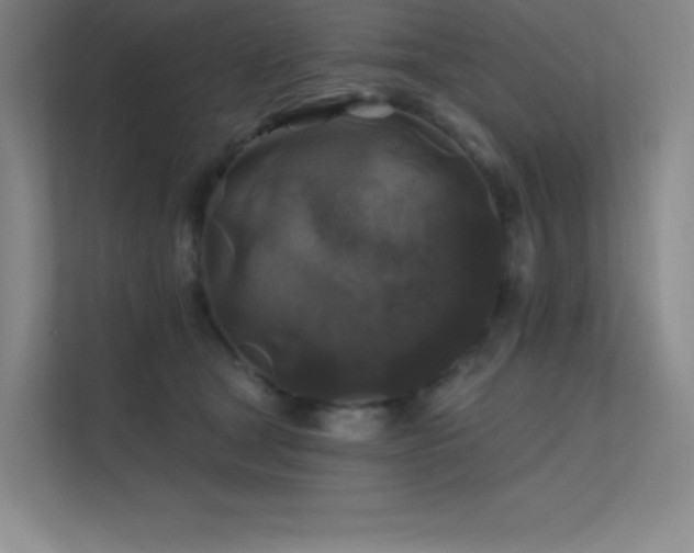 X0000112420465200908141414