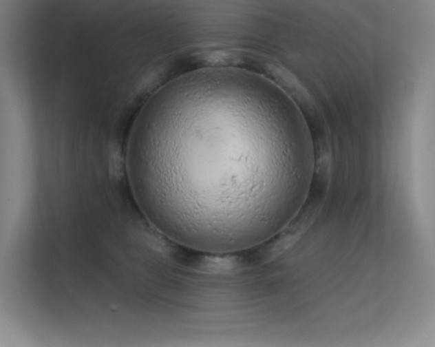 X0000112420469200908141414