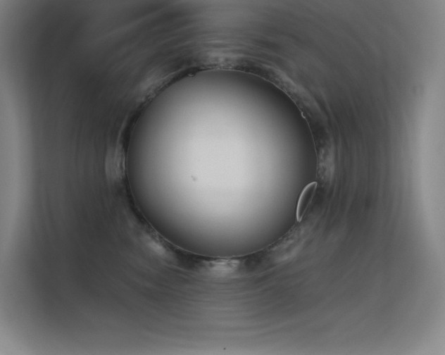 X0000112420474200908141414