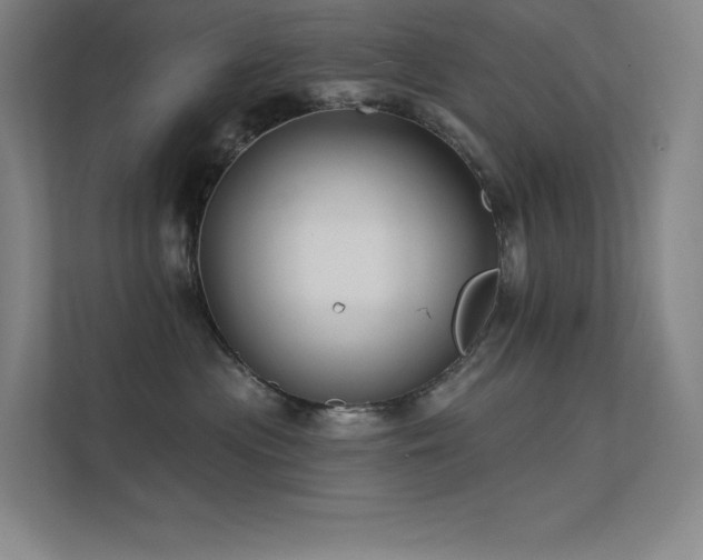 X0000112420477200908141414
