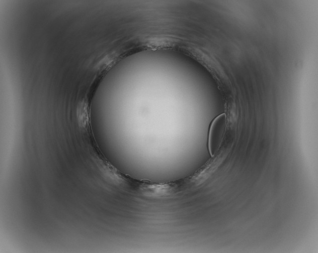 X0000112420478200908141414
