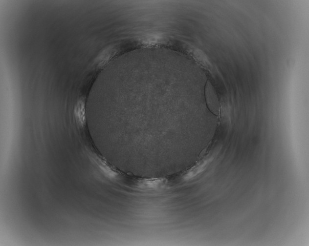 X0000112420479200908141414