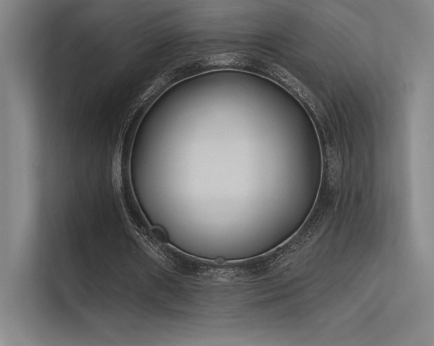 X0000112420482200908141414