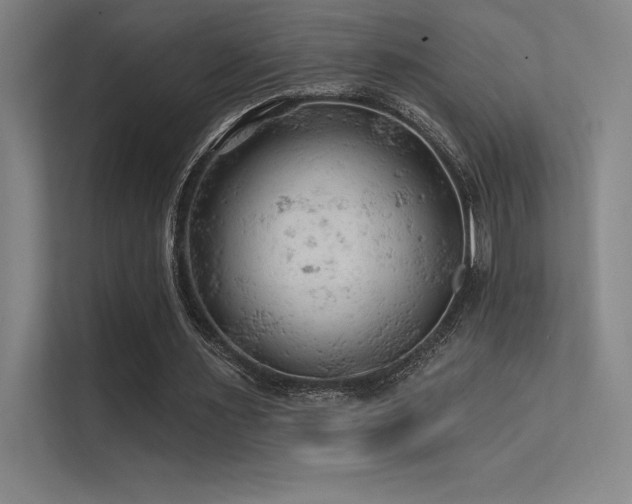 X0000112420483200908141414