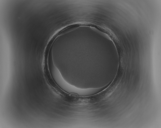 X0000112420484200908141414