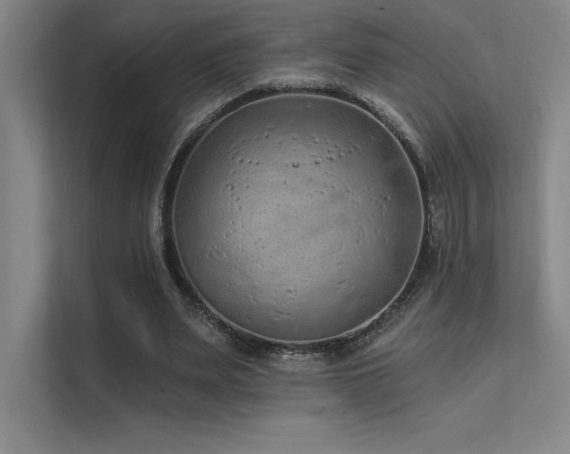 X0000112420487200908141414