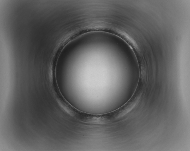X0000112420493200908141414