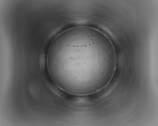 X0000112420495200908141414