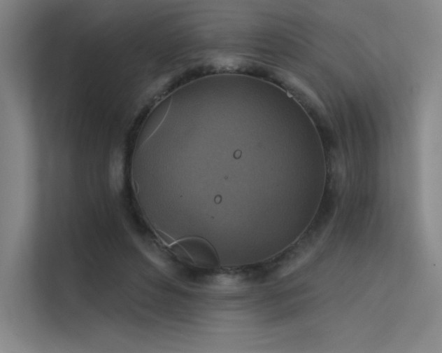 X0000112420496200908141414