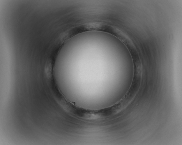 X0000112420498200908141414