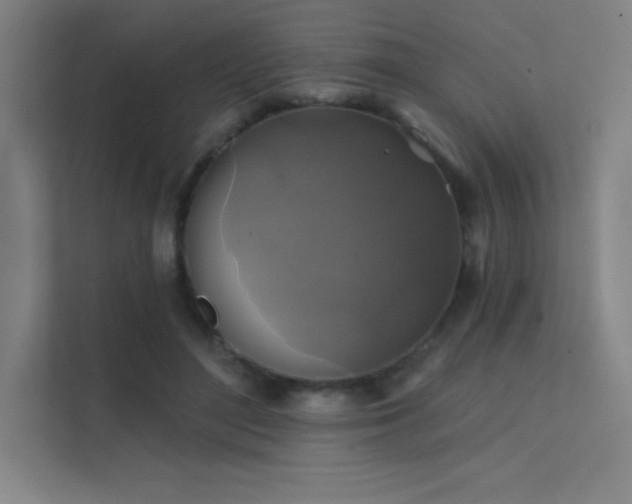 X0000112420500200908141414