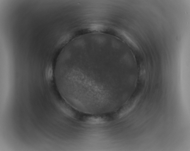X0000112420502200908141414