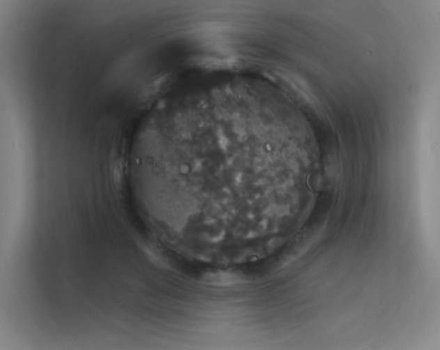 X0000112420503200908141414