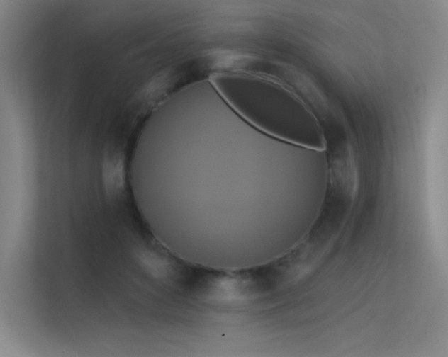 X0000112420504200908141414