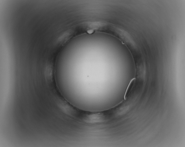 X0000112420505200908141414