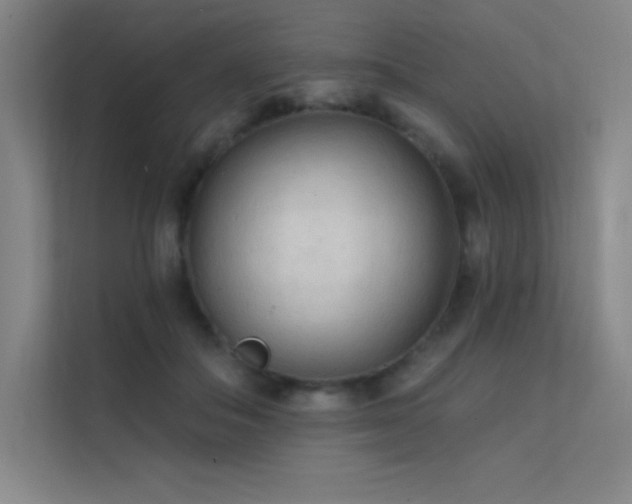 X0000112420506200908141413