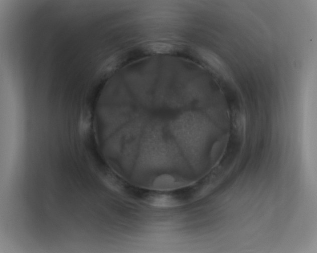 X0000112420507200908141413