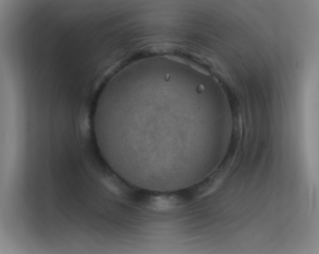 X0000112420508200908141413