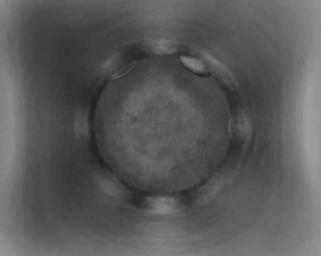 X0000112420512200908141413