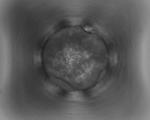 X0000112420516200908141413