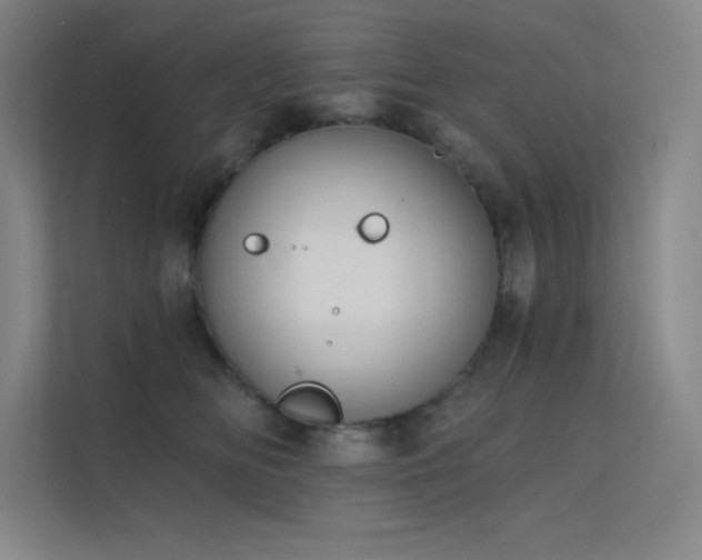 X0000112420518200908141413