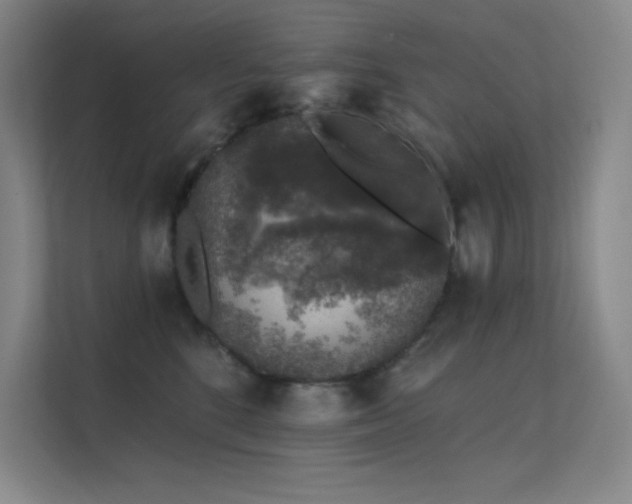 X0000112420520200908141413