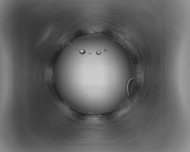 X0000112420523200908141413