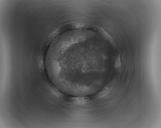 X0000112420524200908141413