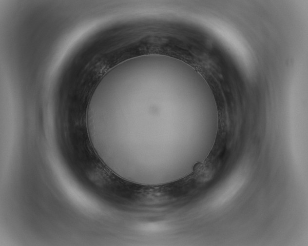 X0000112420526200908141413