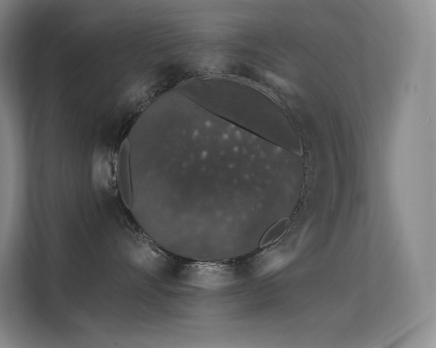 X0000112420528200908141413