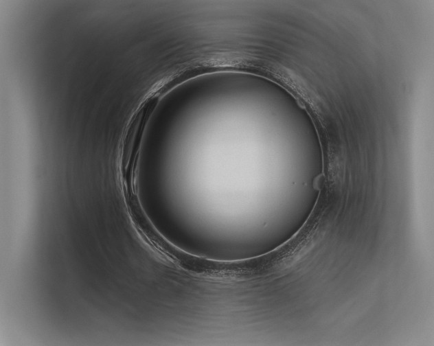 X0000112420530200908141413