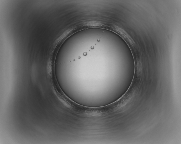 X0000112420533200908141413