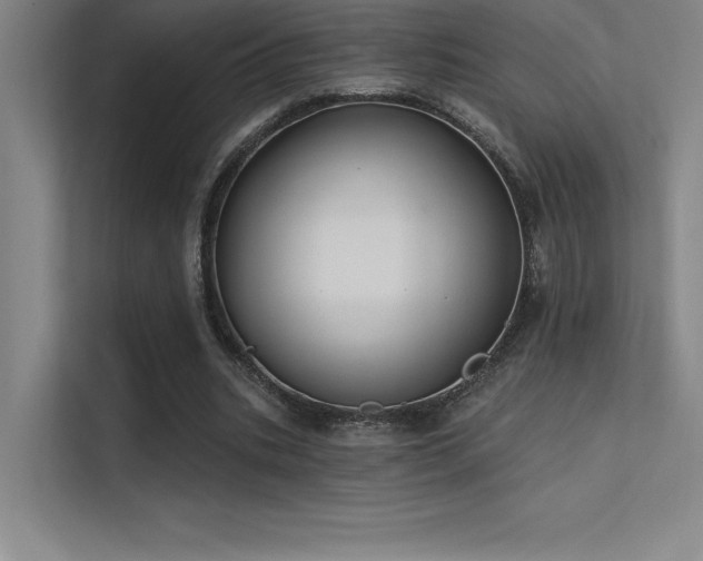 X0000112420535200908141413