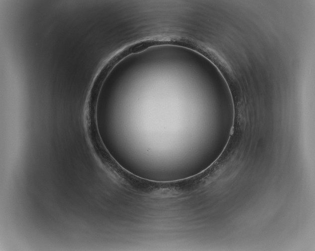 X0000112420536200908141413