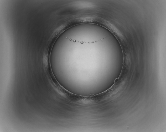 X0000112420537200908141413