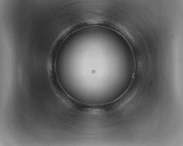 X0000112420539200908141413
