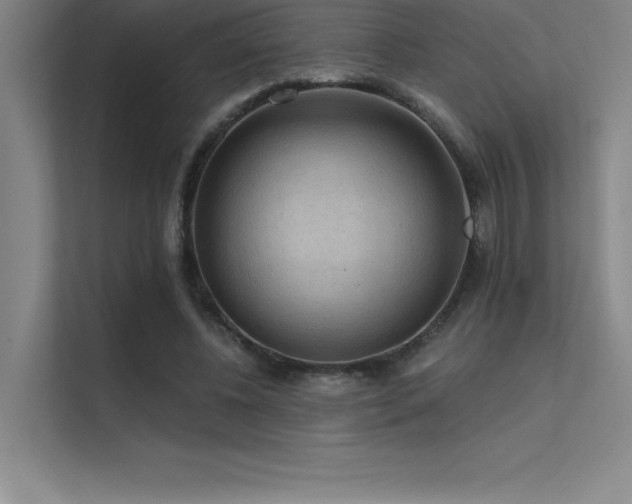 X0000112420540200908141413