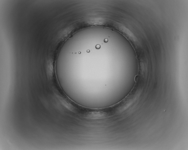 X0000112420541200908141413