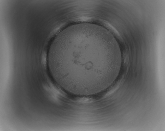 X0000112420542200908141413