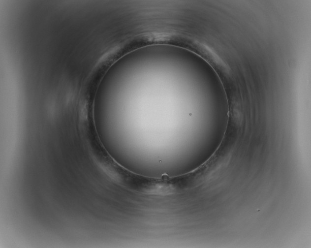 X0000112420543200908141413