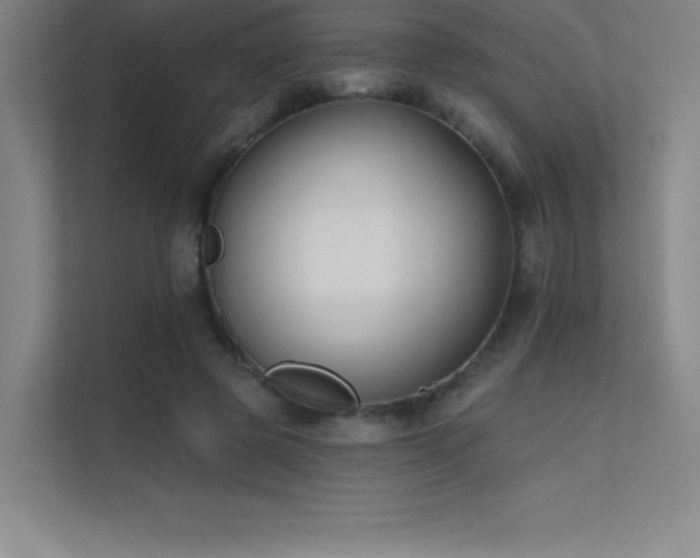 X0000112420545200908141413