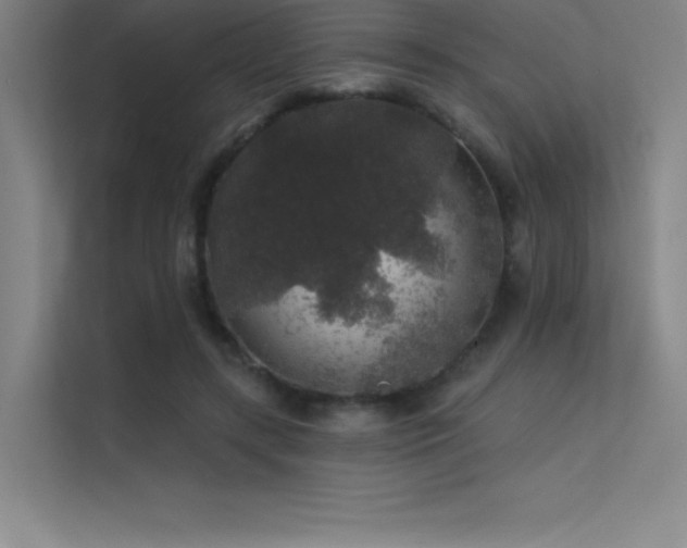X0000112420547200908141413