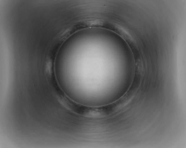 X0000112420550200908141413