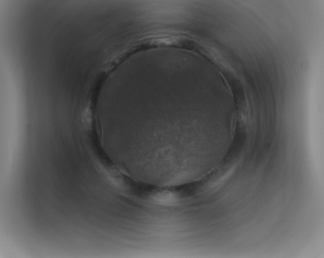 X0000112420551200908141413