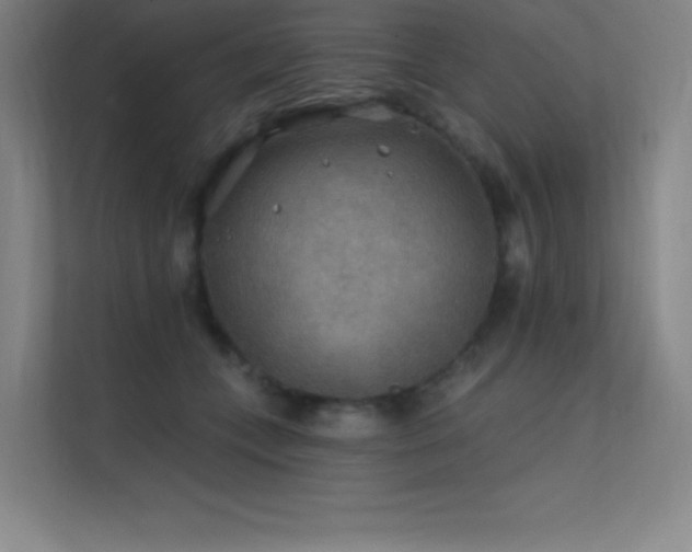 X0000112420559200908141413